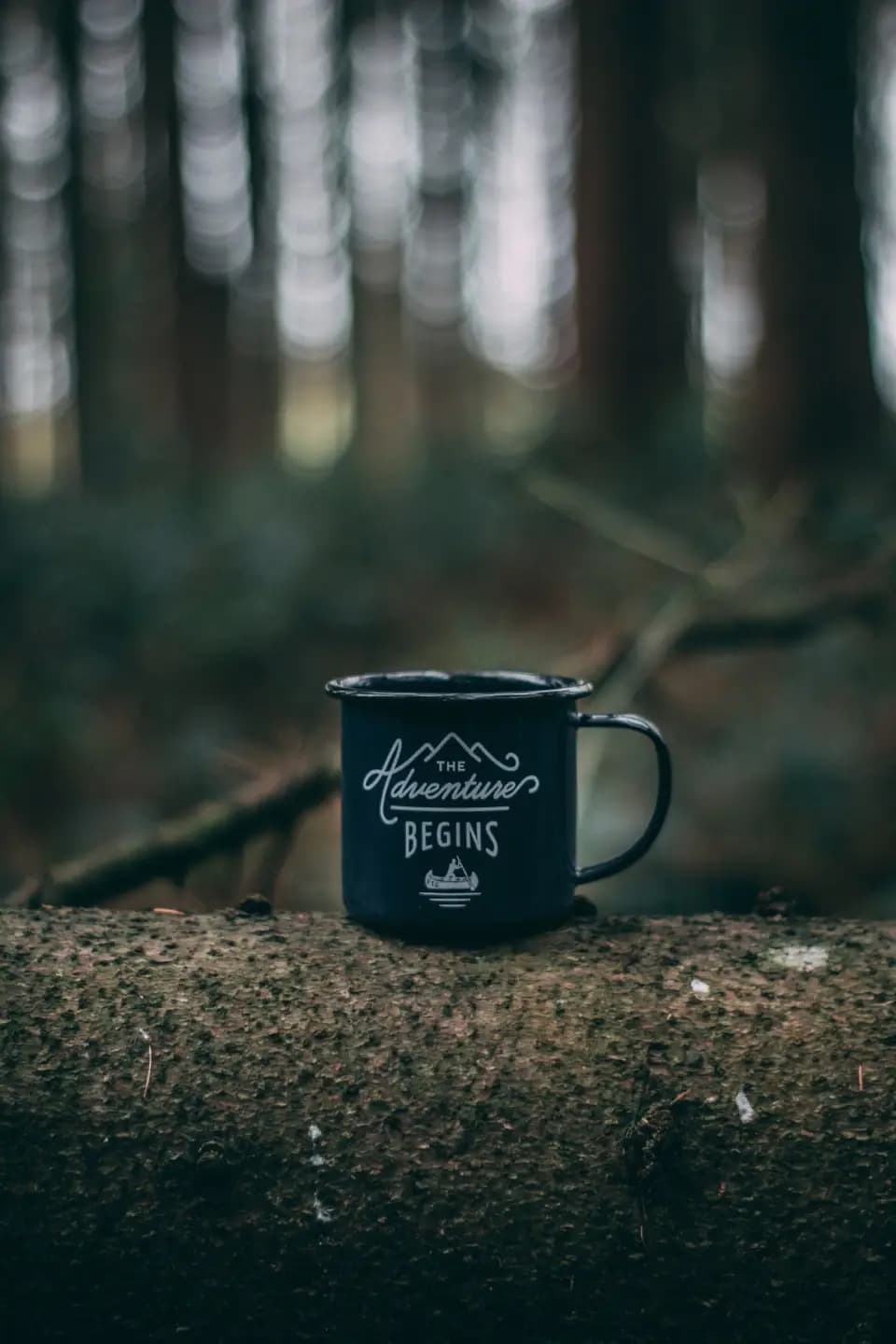adventure begins