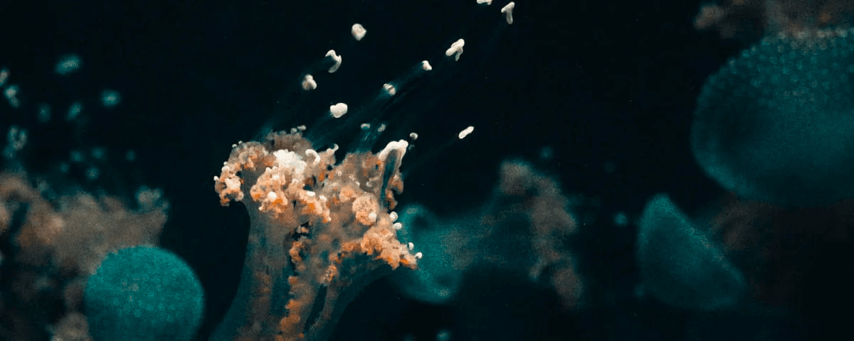 blog post image header